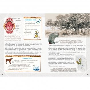 Занимательная фонетика фото книги 3