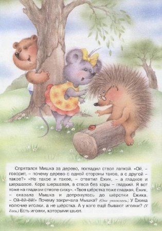 Домашняя школа Монтессори. Сенсорное развитие. Книжки - несказки фото книги 4