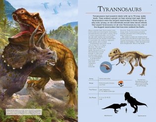 Dinosaurs: Book and Fact Cards фото книги 4
