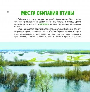 Птица года Беларуси. Белая лазоревка фото книги 6