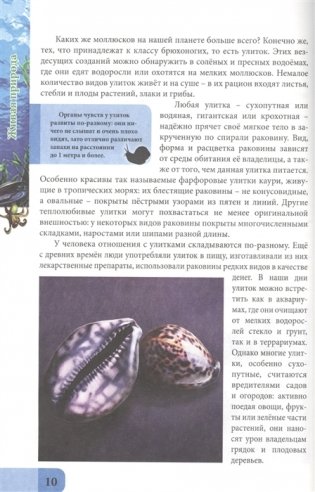 Живая природа фото книги 3