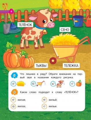 Развитие речи фото книги 6