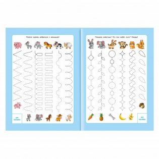 Прописи с наклейками. Готовим руку к письму. ФГОС ДО фото книги 2