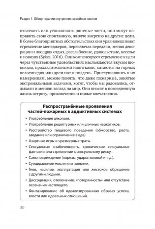 Внутренние семейные системы: терапия зависимостей фото книги 13
