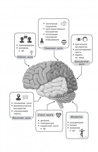 500 ответов нейропсихолога фото книги 5