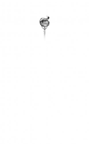 Египетские хроники. Скипетр света (#1) фото книги 2