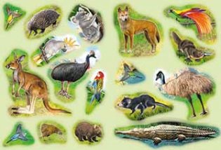 Кто живет в Австралии фото книги 2