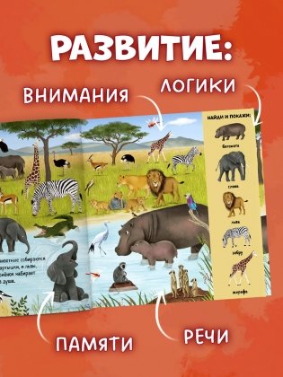 Найди и покажи. Животные со всего мира фото книги 7