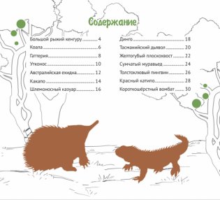 Уникальный мир Австралии и Океании фото книги 2