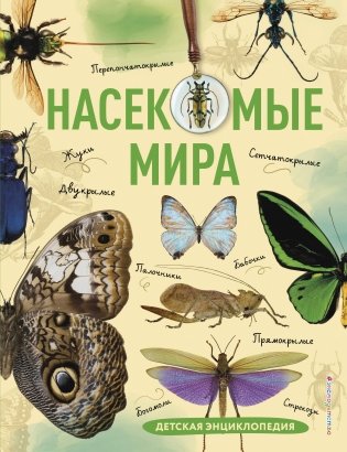 Насекомые мира. Детская энциклопедия фото книги