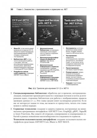 .NET 8: приложения и сервисы. Практика создания проектов с использованием Blazor, .NET MAUI, gRPC, GraphQL. 2-е изд. фото книги 18