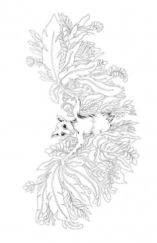 Метаморфозы. Мини-раскраска-антистресс для творчества и вдохновения фото книги 6