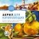 Акрил для начинающих. Как искать сюжет, создавать композицию, работать с цветом и многое другое фото книги маленькое 2