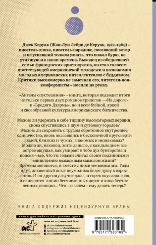 Ангелы опустошения фото книги 2