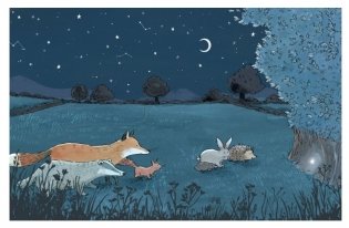 Волшебные сказки на ночь фото книги 5