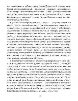 Русский язык. Тренажер по орфографии и пунктуации. 9 класс фото книги 12