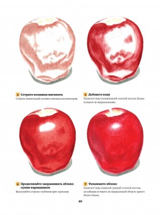 Рисуем реалистичные картины цветными карандашами. Пошаговые уроки. Школа художника фото книги 3