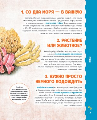 Животные фото книги 3