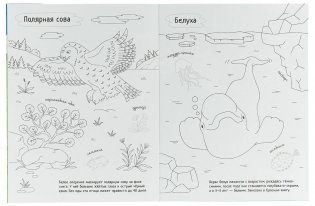 Раскрась Россию. Арктика фото книги 3