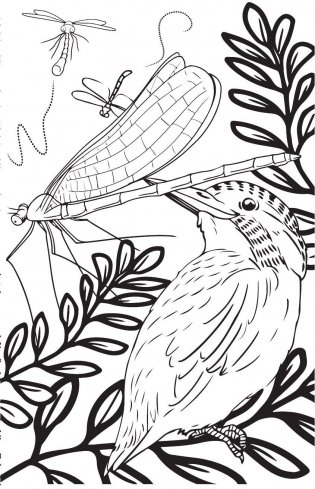 Удивительные животные. Мини-раскраска-антистресс для творчества и вдохновения фото книги 9