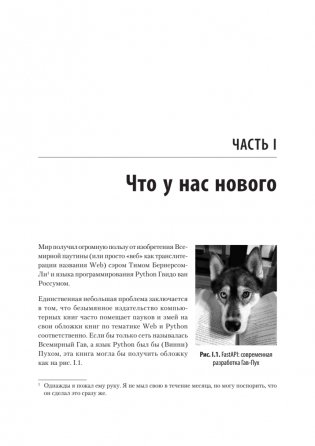 FastAPI: веб-разработка на Python фото книги 10