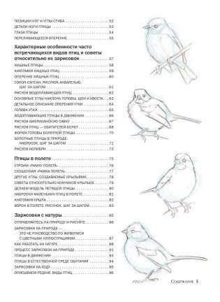 Как рисовать птиц. Руководство фото книги 3
