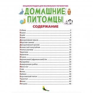 Энциклопедия для маленьких почемучек. Домашние питомцы фото книги 3
