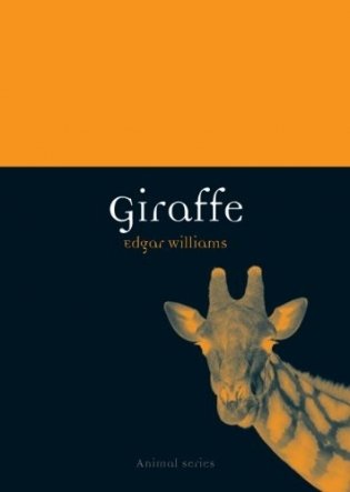 Giraffe фото книги