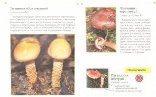 За грибами. Карманный атлас-определитель фото книги 2
