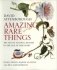 Amazing Rare Things. The Art of Natural History in the Age of Discovery фото книги маленькое 2