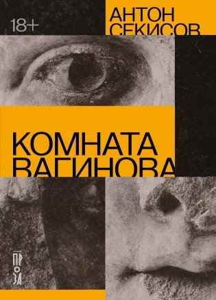 Комната Вагинова фото книги