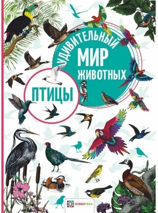 Птицы фото книги