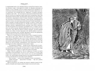 Карьера Ругонов. Его превосходительство Эжен Ругон. Добыча фото книги 2