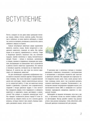 Рисуем кошек фото книги 4