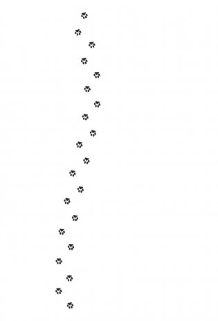 Коты-детективы. Бесстрашная команда фото книги 10