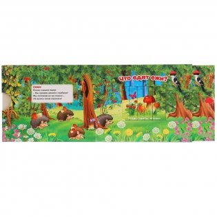 Лесные животные фото книги 7