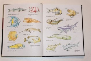 Рисование. Первые шаги фото книги 5