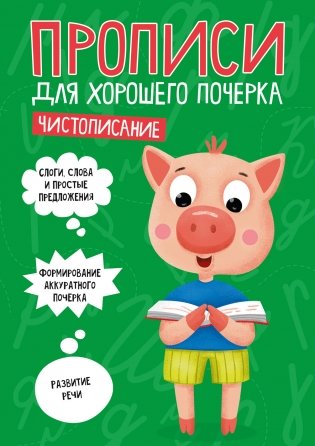 Прописи для хорошего почерка. Чистописание фото книги