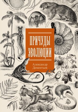Причуды эволюции фото книги