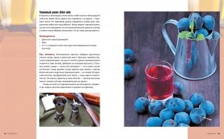 Домашний алкоголь. Способы приготовления, оборудование, рецепты фото книги 7