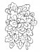 Creative Haven Calm Coloring Book фото книги маленькое 7