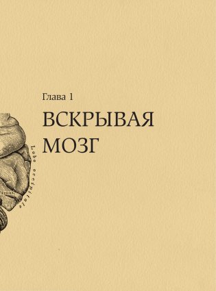Мозг. Большая энциклопедия фото книги 8
