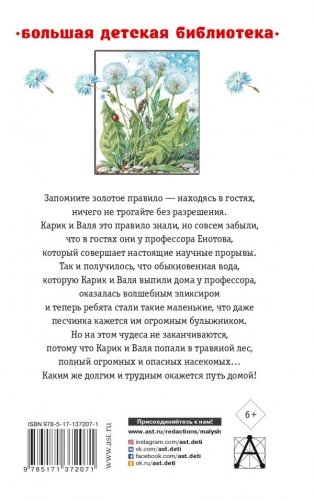 Необыкновенные приключения Карика и Вали фото книги 2