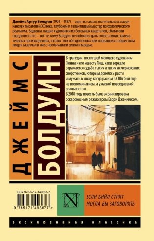 Если Бийл-стрит могла бы заговорить фото книги 2