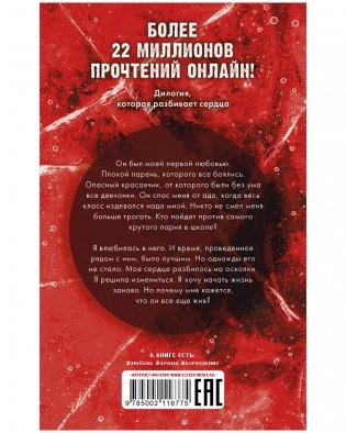По осколкам твоего сердца фото книги 2