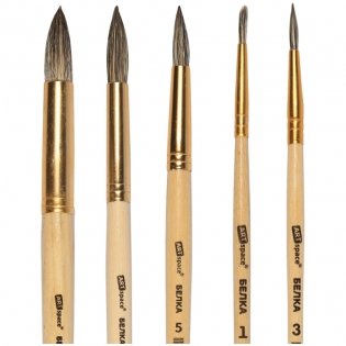 Набор кистей ArtSpace 6шт., белка, круглые, № 1, 3, 5, 7, 9, 11, блистер фото книги 4