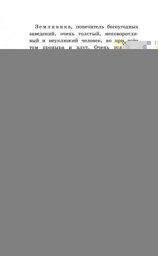 Ревизор фото книги 11