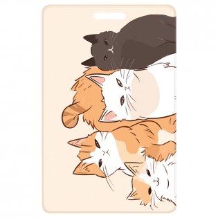 Обложка-карман для карт и пропусков OfficeSpace "Котики", 95х65 мм, ПВХ, ассорти. Арт. PC_55427 фото книги 7