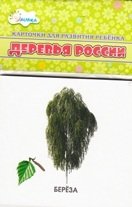 Деревья России. Учебные карточки фото книги