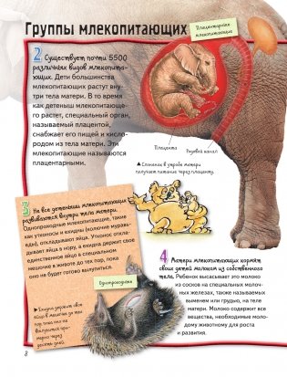 Животные фото книги 9